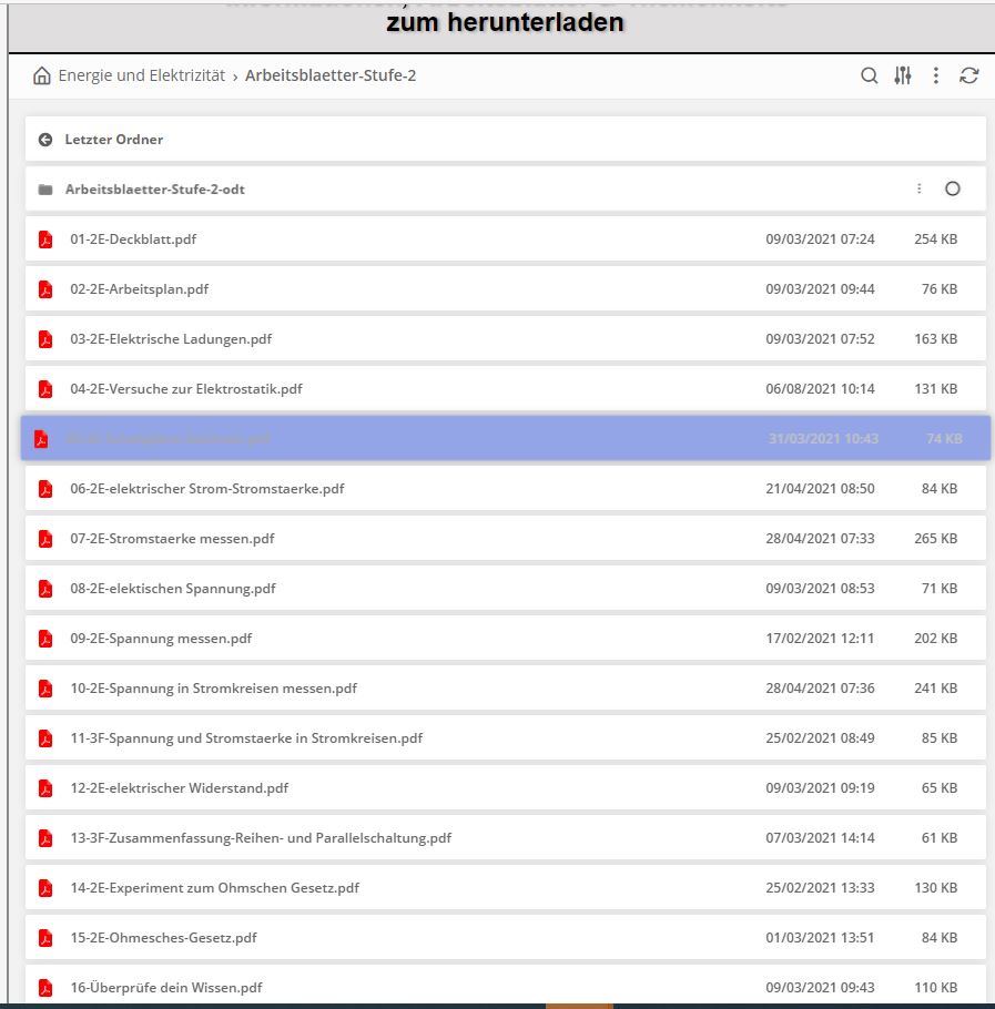 Arbeitsblätter  der Niveaustufe 2 sind zu sehen, die Erarbeitung erfolgt über einen Arbeitsplan mit Wahl- & Pflichtaufgaben